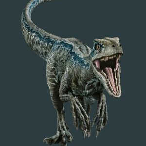 Team Page: RGC Raptors